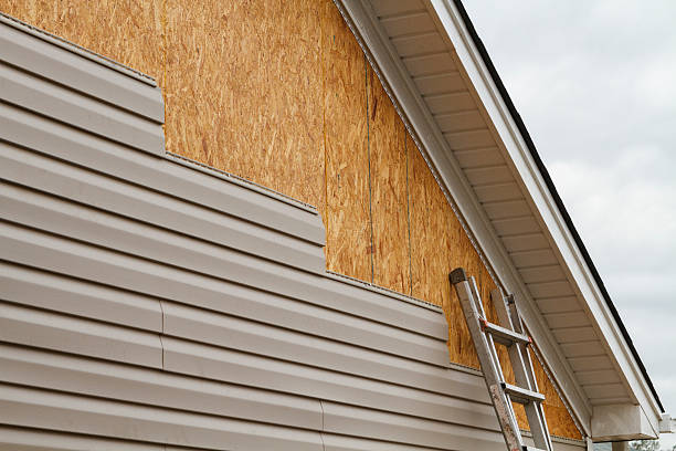 Professional Siding Repair technician working in Graysville, TN